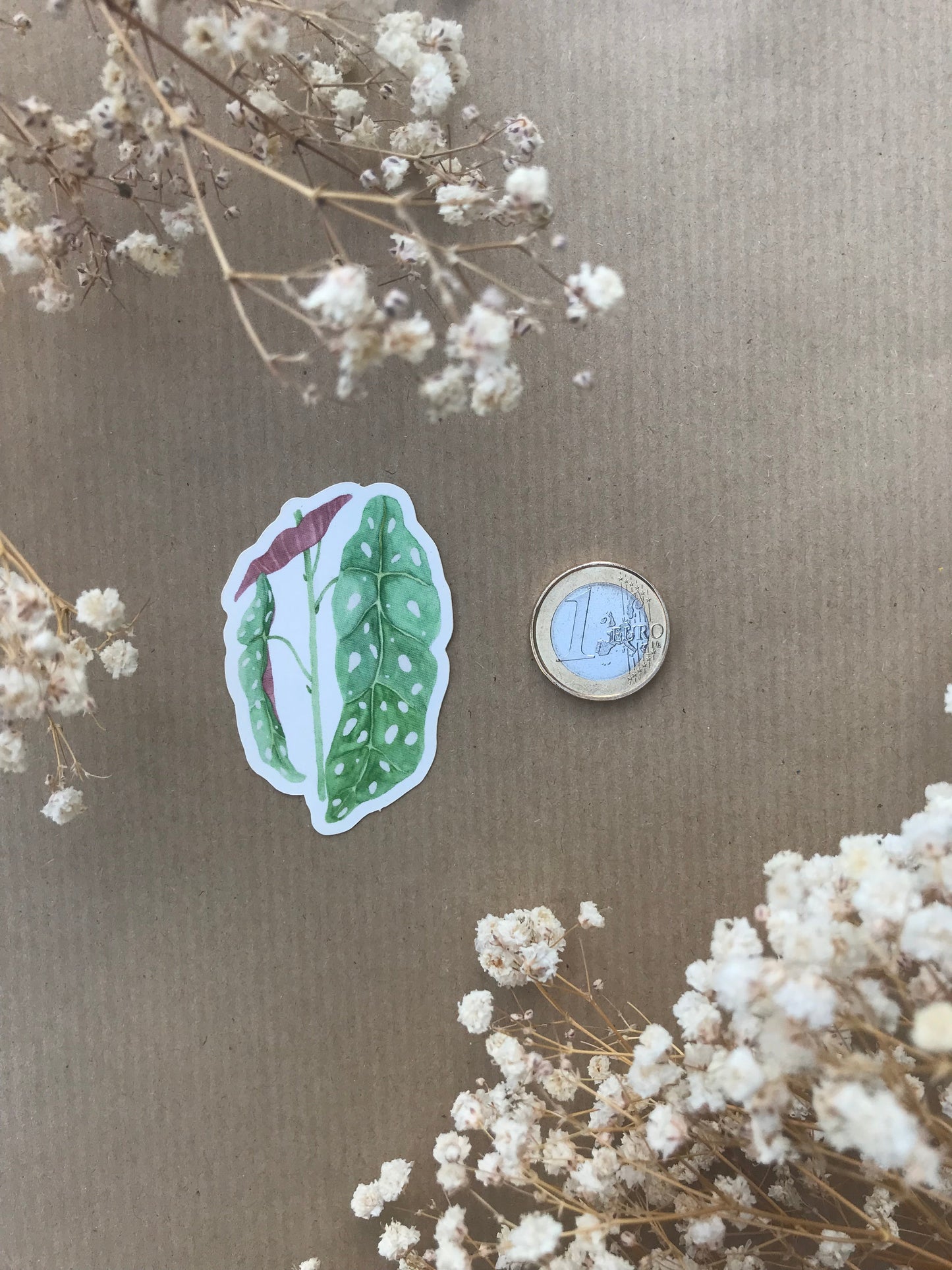Sticker „Begonie“