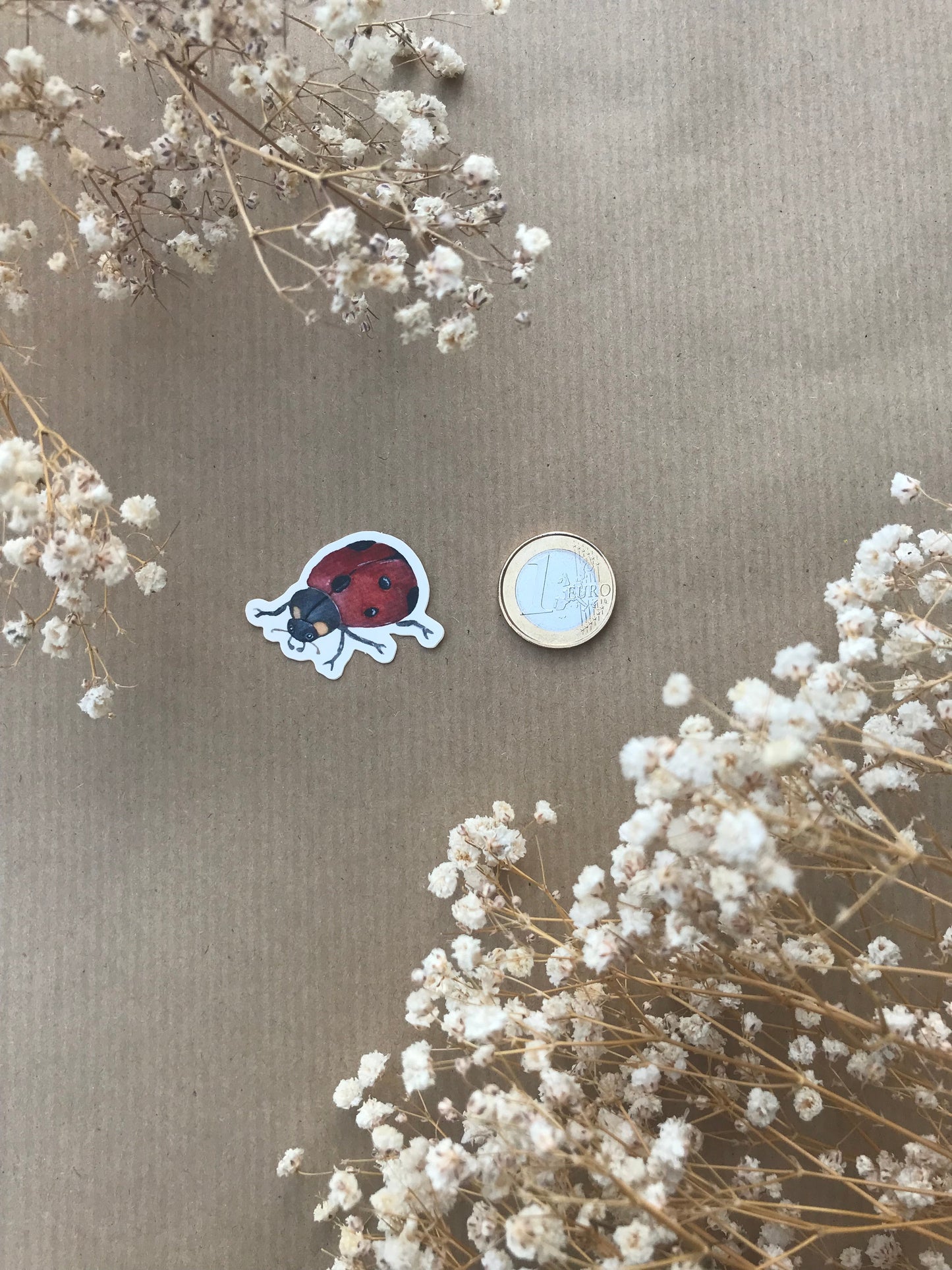 Sticker „Marienkäfer“