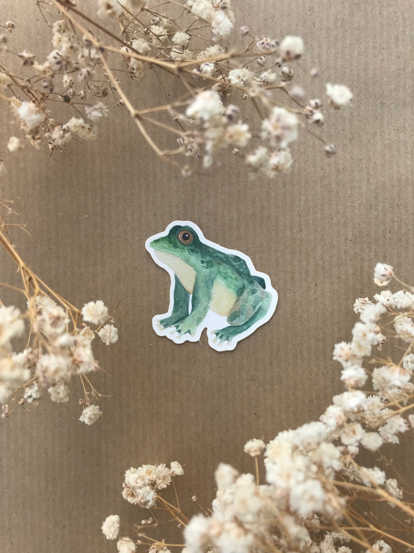 Sticker „Frosch“