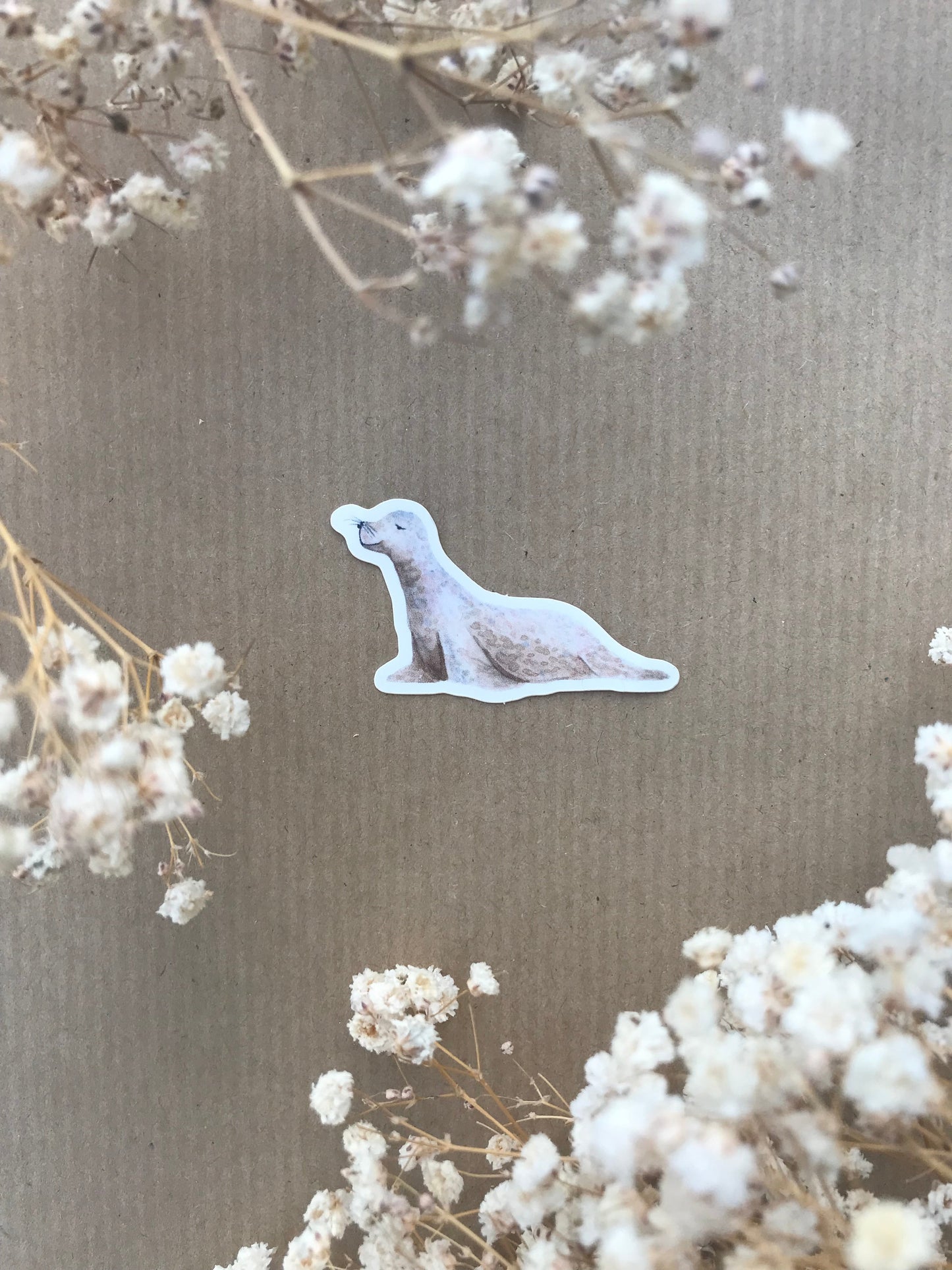 Sticker „Seehund“
