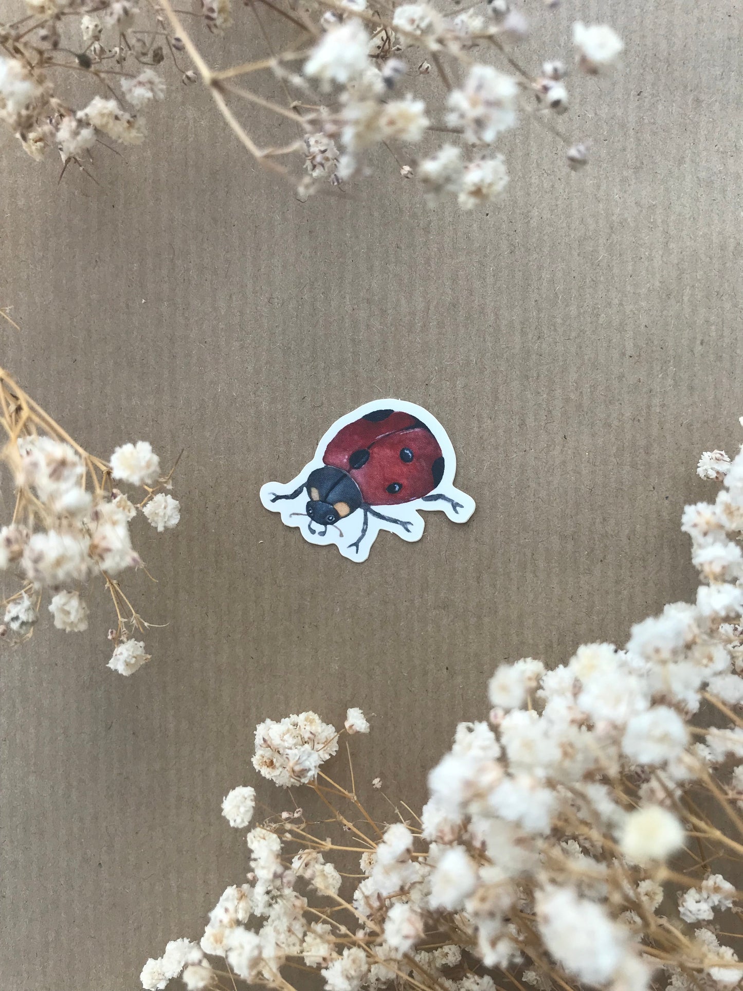 Sticker „Marienkäfer“